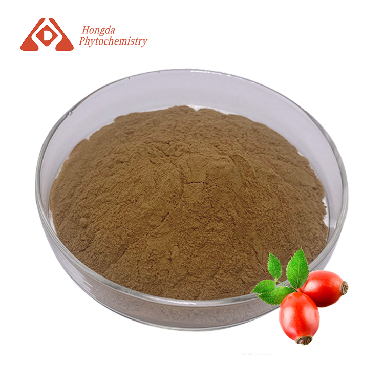 Rosehip Extract Powder